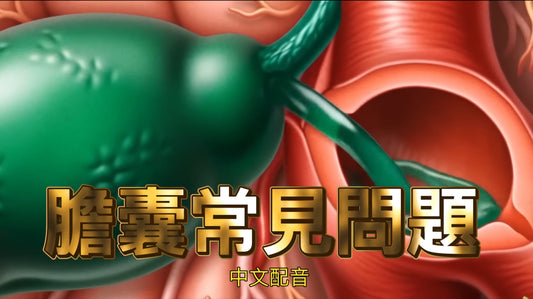 膽囊常見問題解答