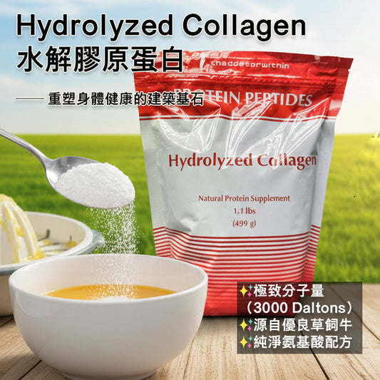 【生酮必備】Hydrolyzed Collagen 水解膠原蛋白：不僅是美容，更是支撐健康的身體基石！