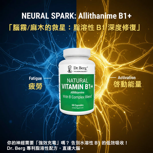 【神經修復指南】為什麼你的維生素 B1 沒效？揭秘 Allithiamine 脂溶性 B1 的強大修復力！