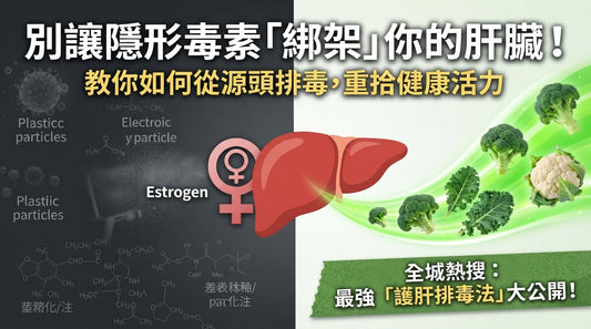 如何排毒護肝