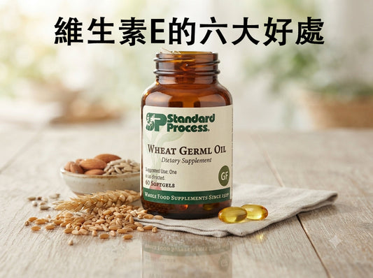 深入解析維生素E：抗氧化之王對健康的重要效益與補充指南