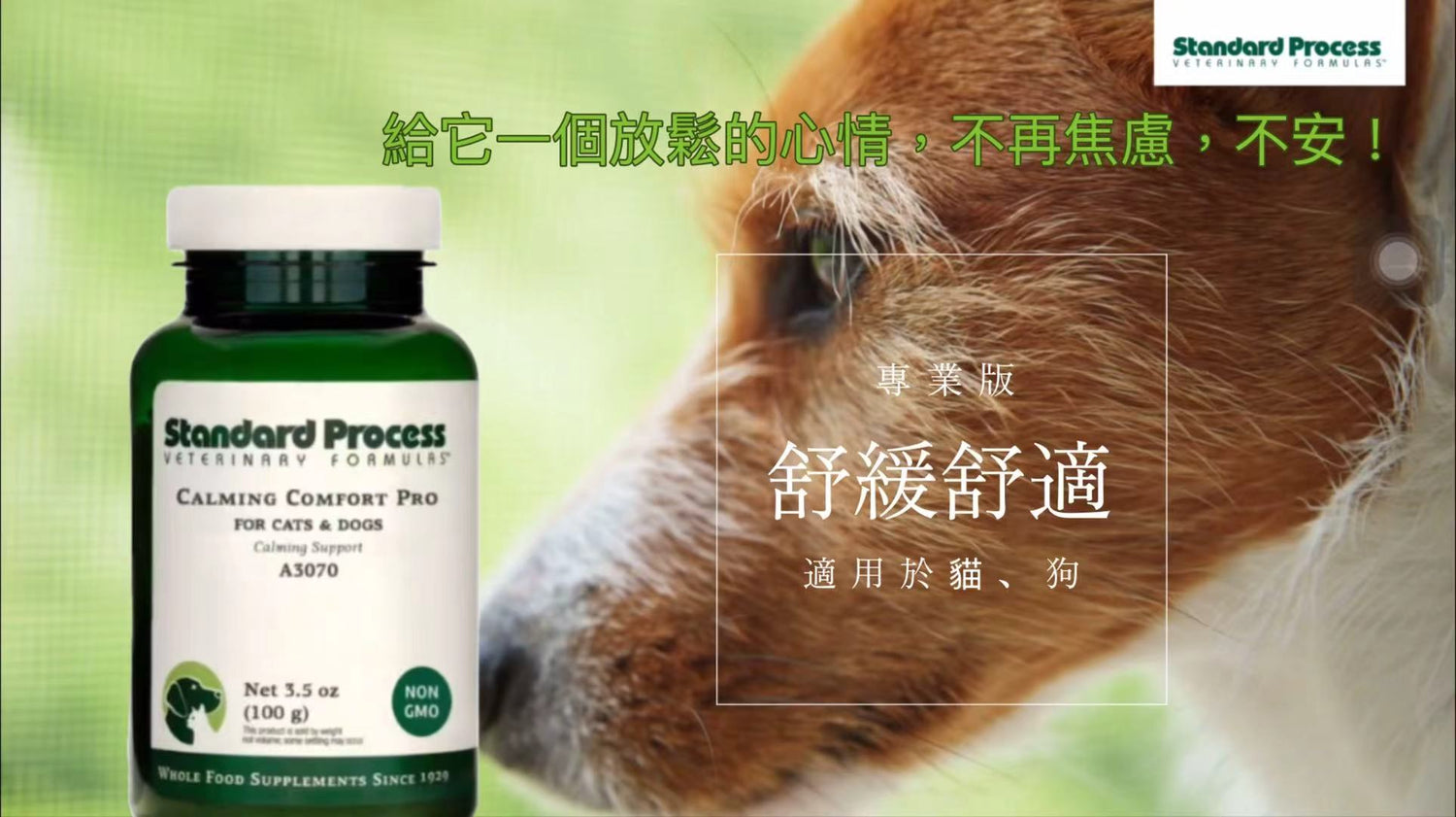 Standard Process 寵物營養