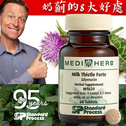 Milk Thistle Forte, 60 Tablets｜Fortified Milk Thistle (Milk Thistle), 60 Tablets