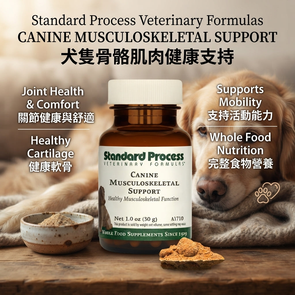 Standard Process Canine Musculoskeletal Support 犬隻骨骼關節保健粉 (1 oz / 30 g)