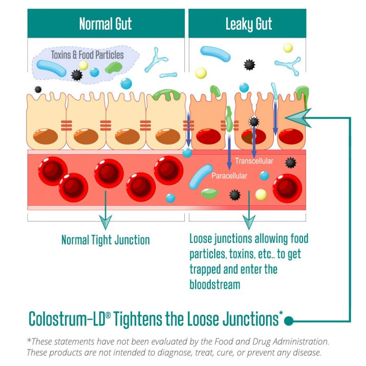 Colostrum-LD Powder｜牛初乳粉末
