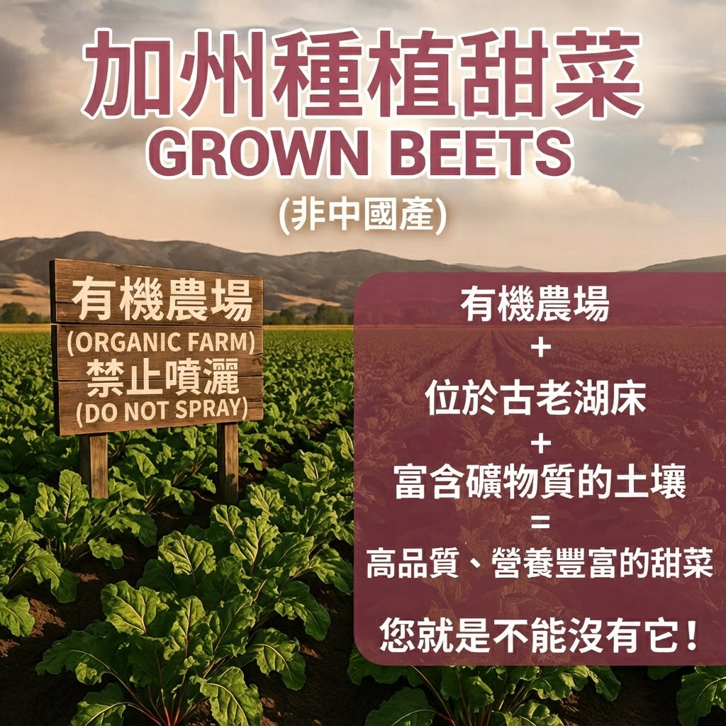 【超級抗氧紅寶石】Dr. Berg 有機低溫脫水甜菜根果汁粉 – 3.18oz 隨身罐