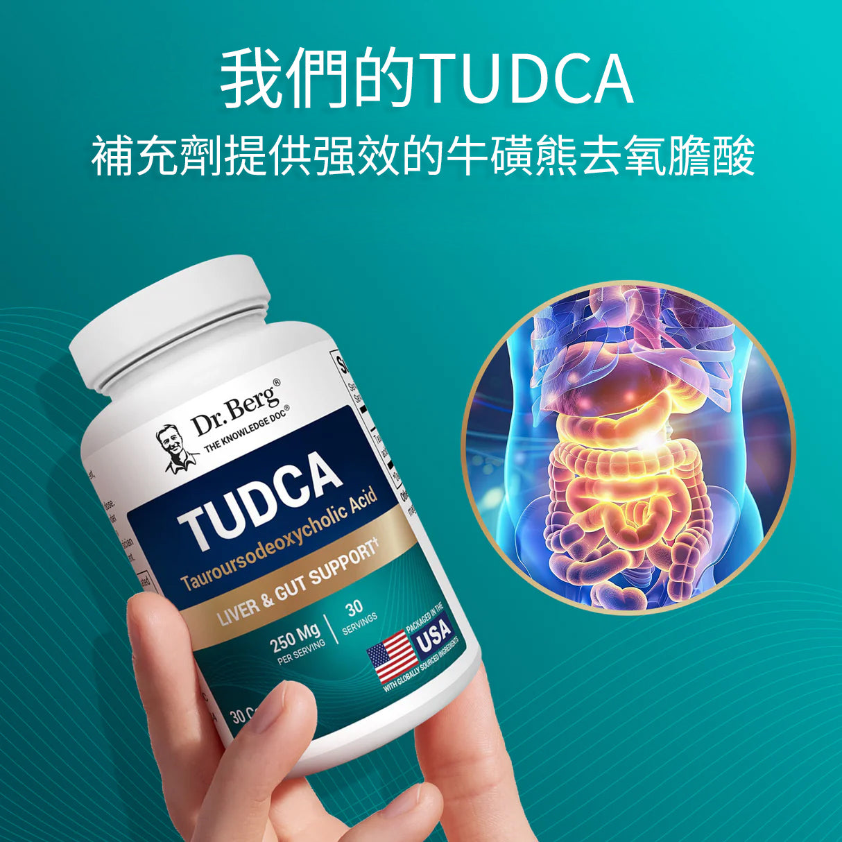 TUDCA - 250 毫克牛磺熊去氧膽酸 - 30 粒素食膠囊(TUDCA - 250 mg of Tauroursodeoxycholic Acid - 30 Vegetable Capsules)