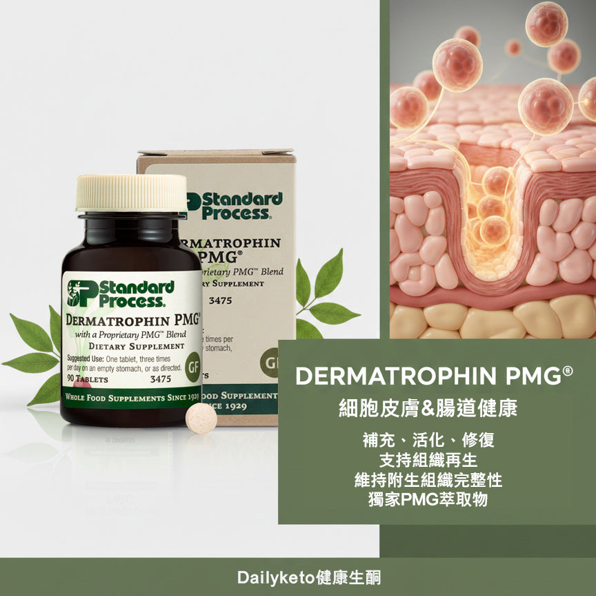 Standard Process | Dermatrophin PMG® 專利上皮修護配方 (90/360 粒裝) 細胞級皮膚與腸道粘膜修復，維持結締組織健康
