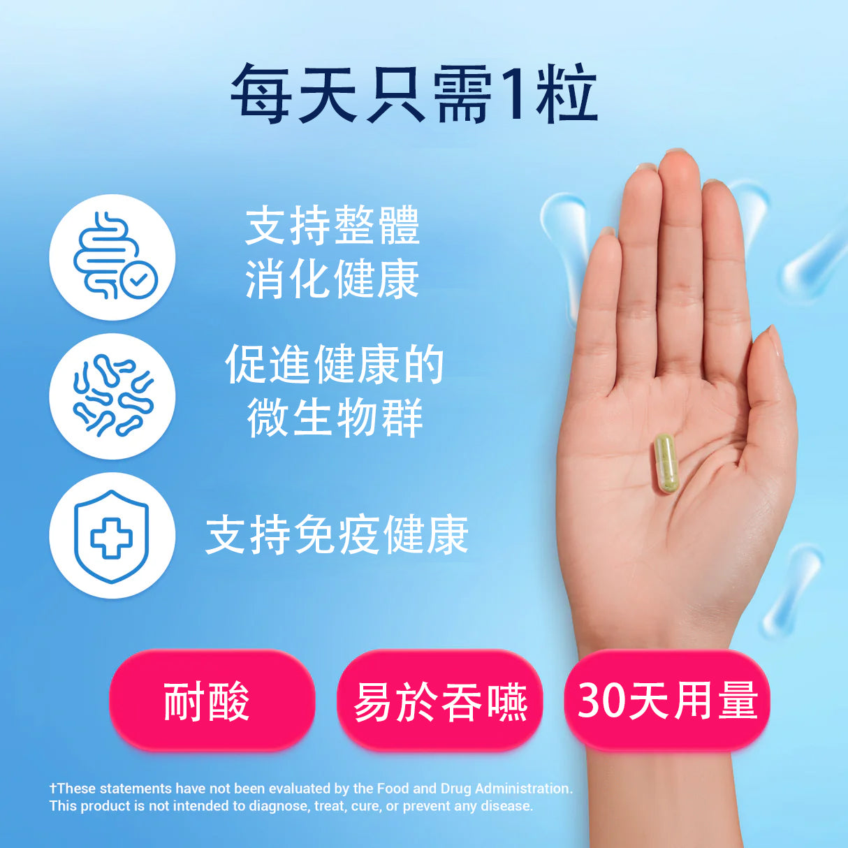 （預訂PRE-ORDER)60 Billion Probiotic Probiotic with Prebiotic Blend - 30 Vegetable Capsules|600亿益生菌含益生元混合物的益生菌 - 30 粒素食膠囊
