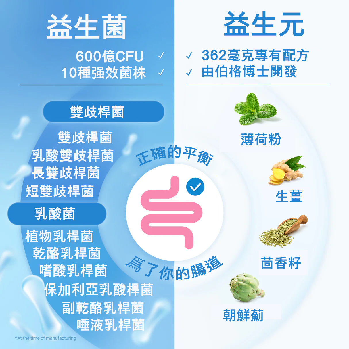 （預訂PRE-ORDER)60 Billion Probiotic Probiotic with Prebiotic Blend - 30 Vegetable Capsules|600亿益生菌含益生元混合物的益生菌 - 30 粒素食膠囊