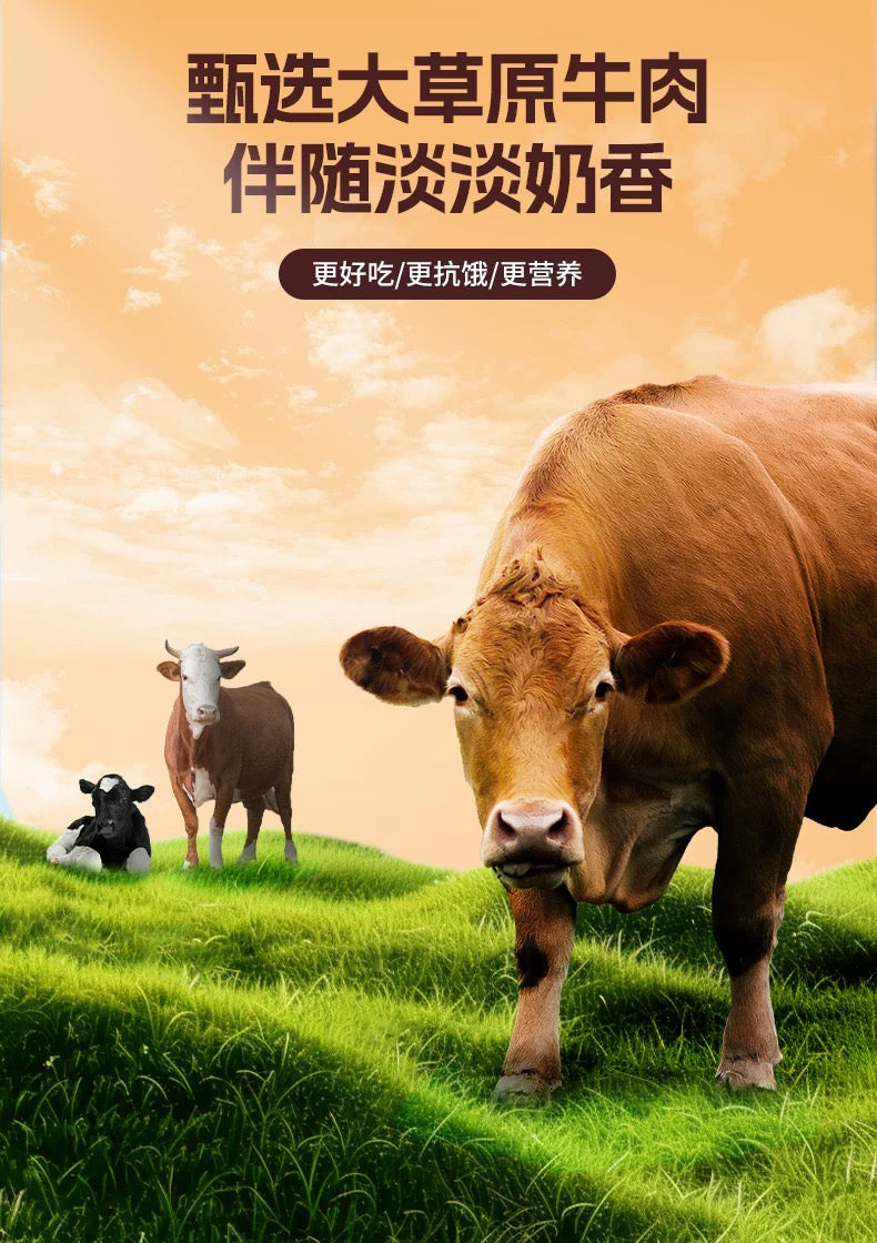 DailyKeto【極致香脆】KETO生酮原味牛肉脆片（100g） Pure Beef Crisps — 100% Meat, Zero Carbs & High Protein Snack