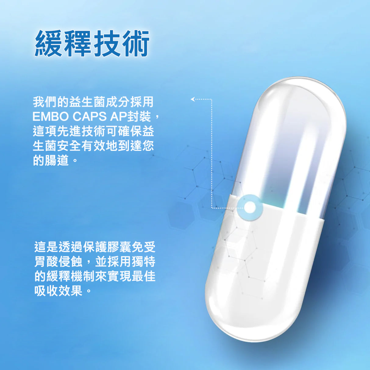 （預訂PRE-ORDER)60 Billion Probiotic Probiotic with Prebiotic Blend - 30 Vegetable Capsules|600亿益生菌含益生元混合物的益生菌 - 30 粒素食膠囊