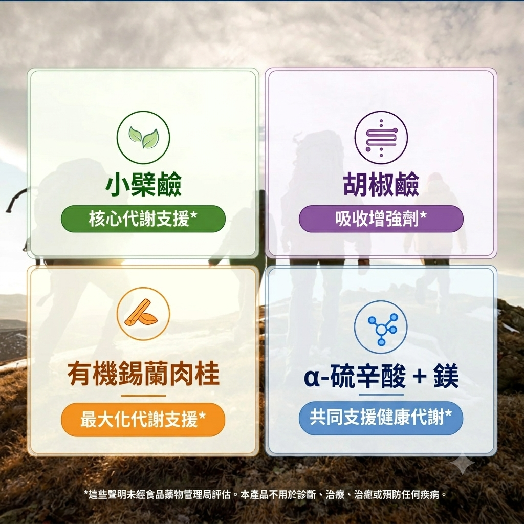Dr. Berg 柏格醫生 小檗鹼+錫蘭肉桂強效膠囊 (60粒裝)｜5合1黃金科學配方，全面啟動低碳代謝力！