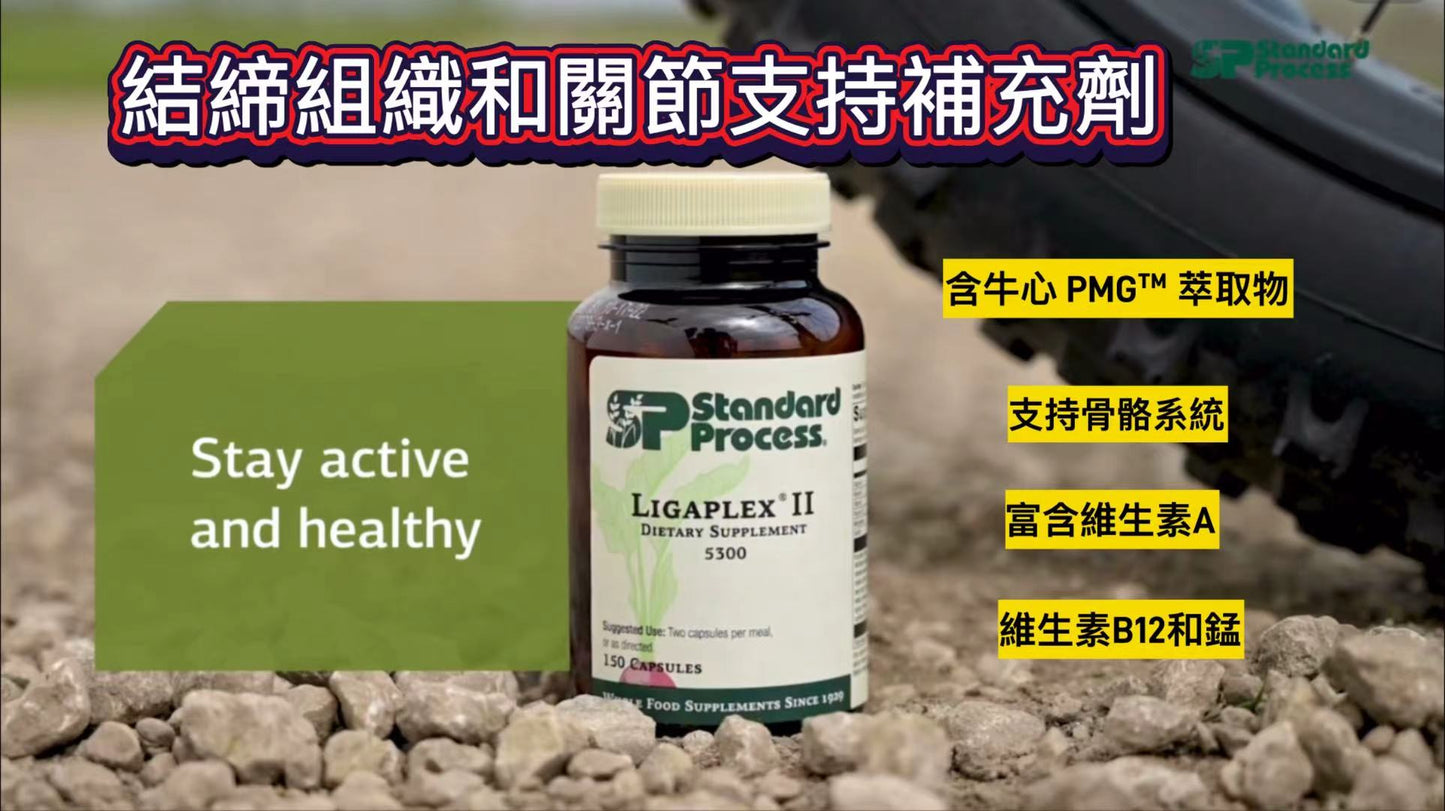Standard Process Ligaplex® II (150粒)｜慢性關節舊患修復與韌帶長期保養